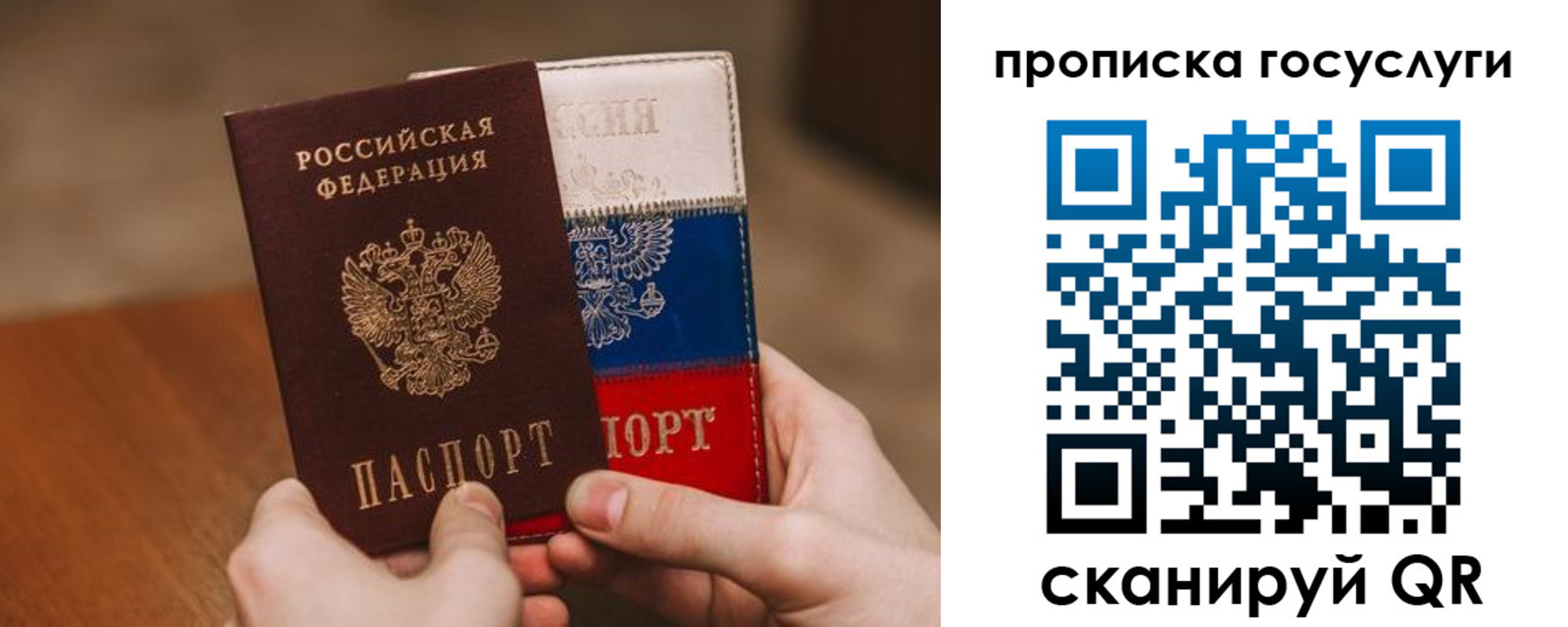 прописка штамп в Вязьме