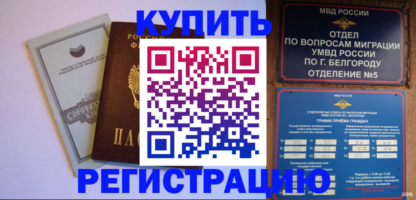 временная прописка в Вязьме
